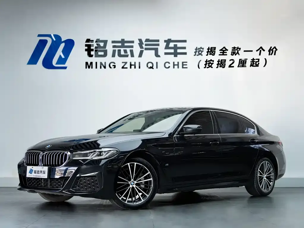 BMW 5 Series 2021 из CN, фото 1