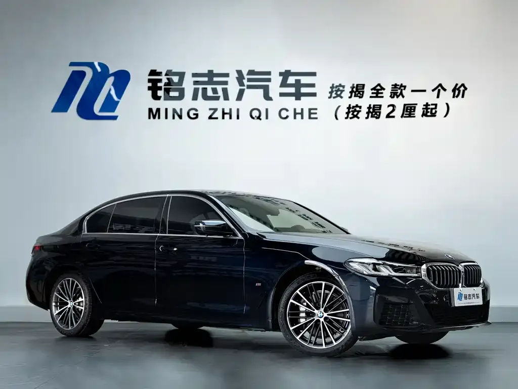 BMW 5 Series 2021 из CN, фото 2