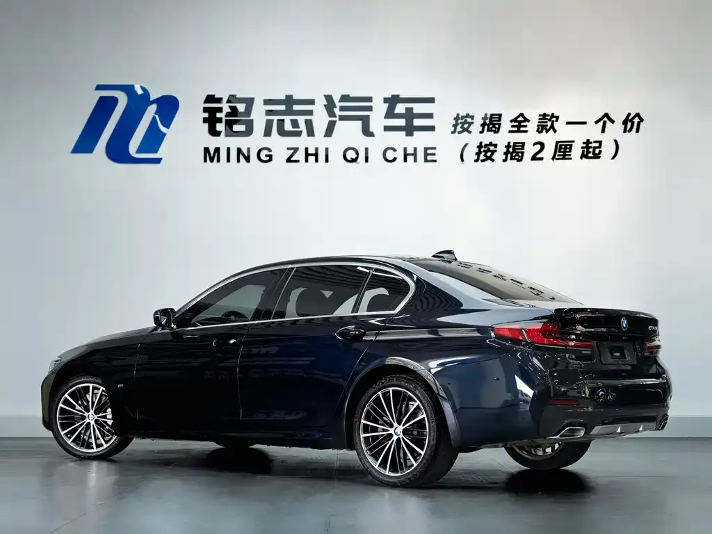 BMW 5 Series 2021 из CN, фото 3