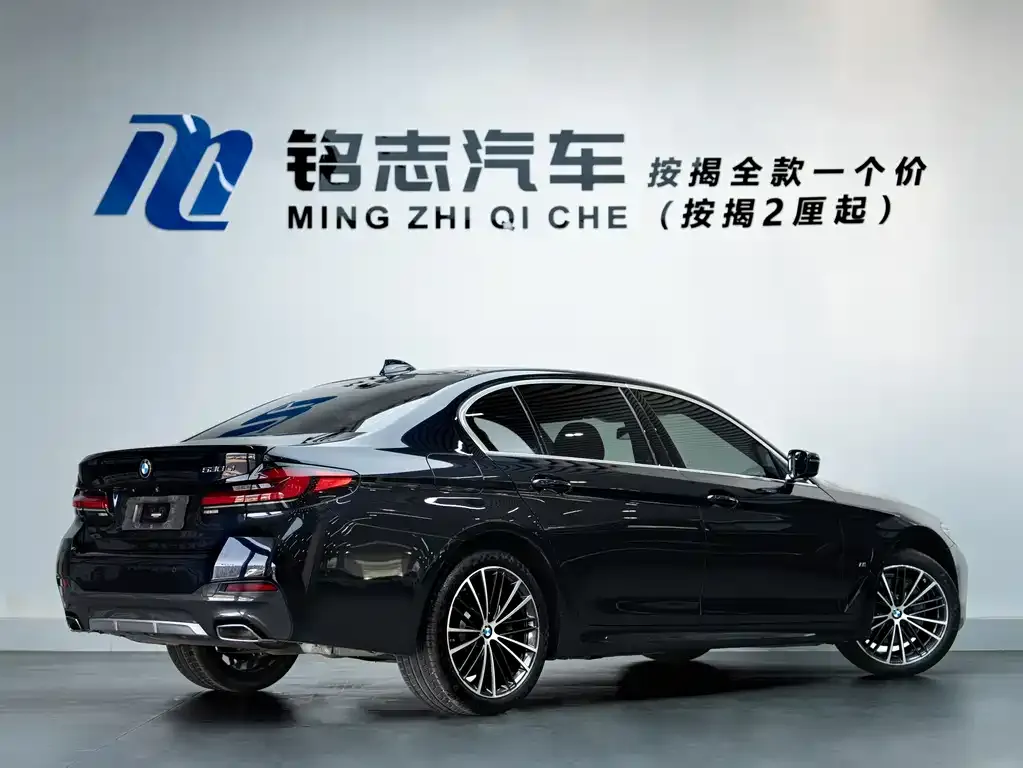 BMW 5 Series 2021 из CN, фото 4