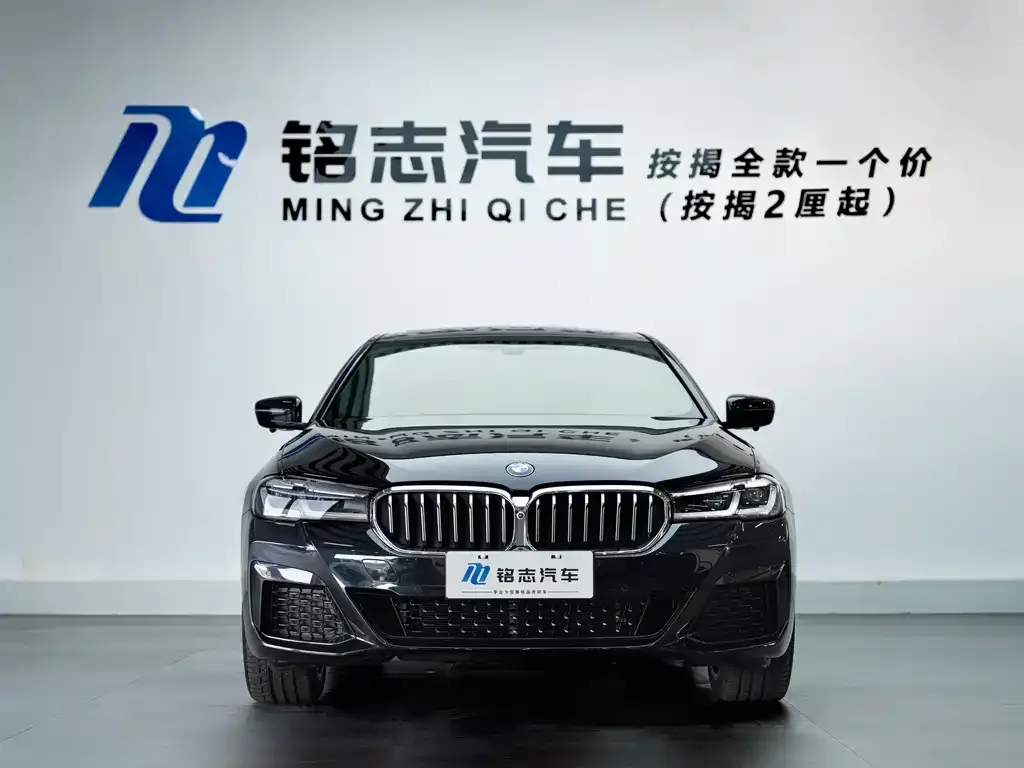 BMW 5 Series 2021 из CN, фото 5