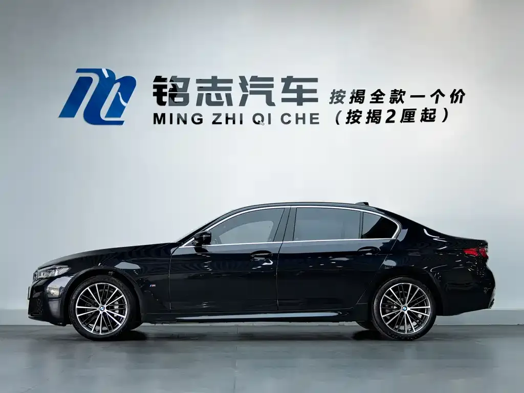 BMW 5 Series 2021 из CN, фото 6