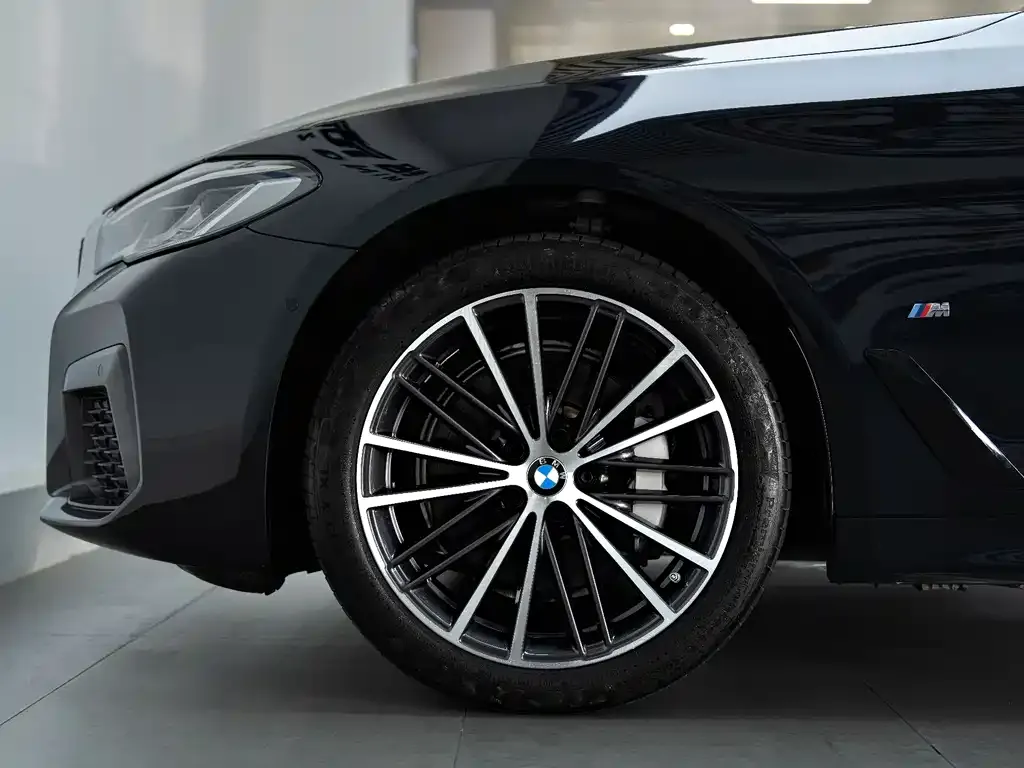 BMW 5 Series 2021 из CN, фото 7