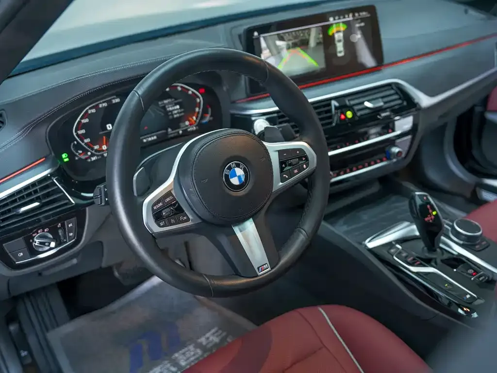 BMW 5 Series 2021 из CN, фото 8