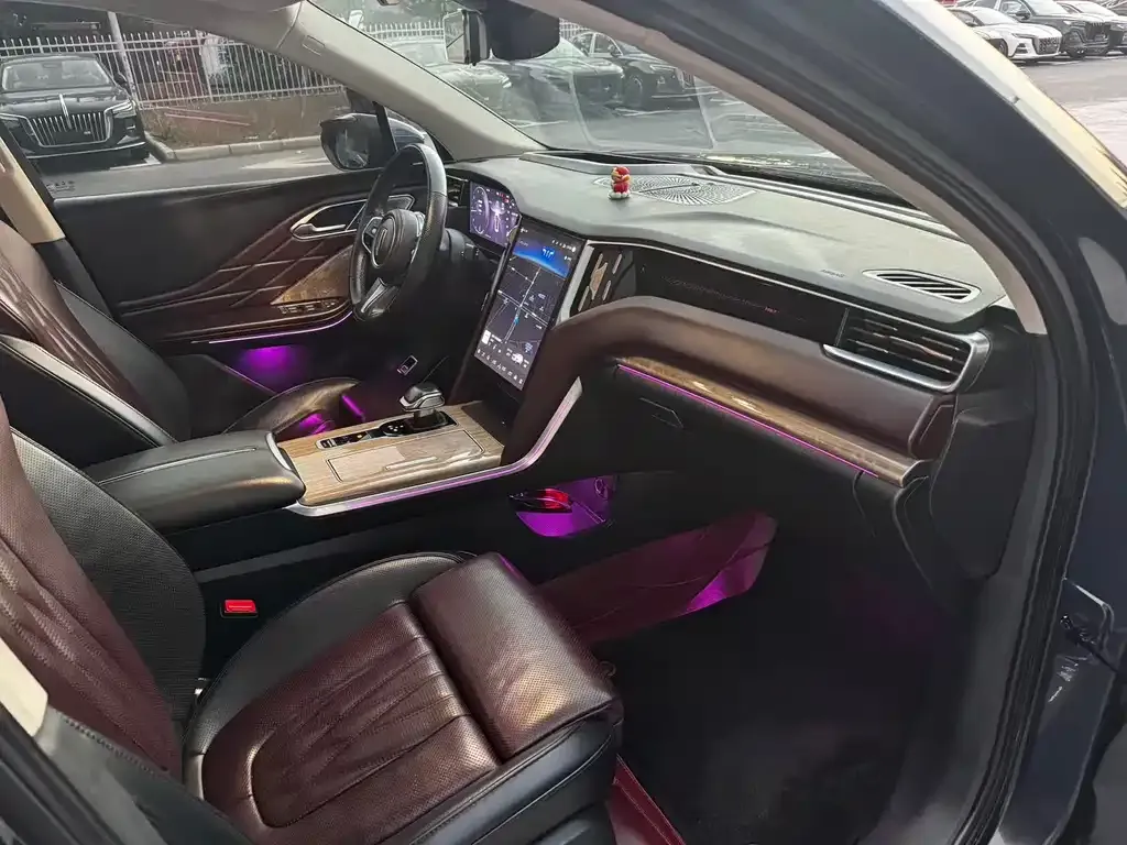 Hongqi HS7 2023 из CN, фото 10