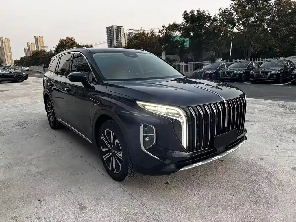 Hongqi HS7 2023 из CN, фото 2