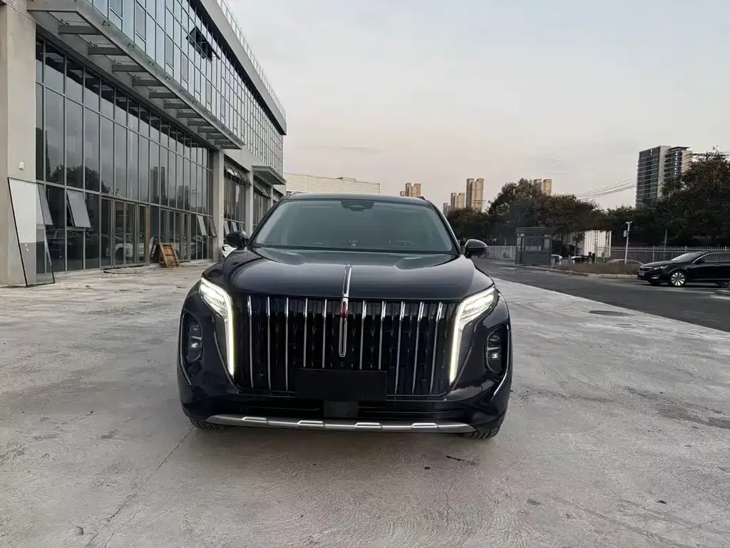 Hongqi HS7 2023 из CN, фото 3