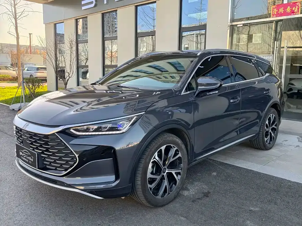 BYD Tang New Energy 2024 из CN, фото 1
