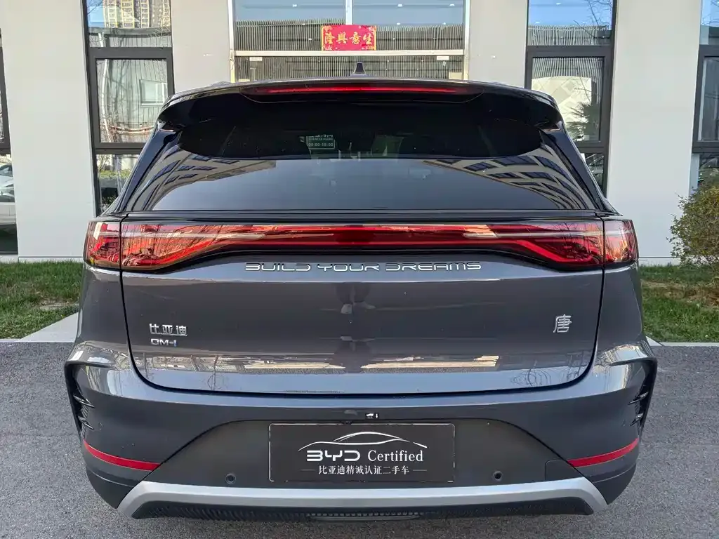 BYD Tang New Energy 2024 из CN, фото 10