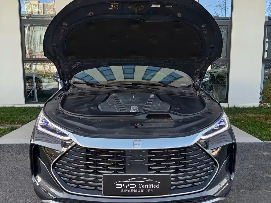 BYD Tang New Energy 2024 из CN, фото 2
