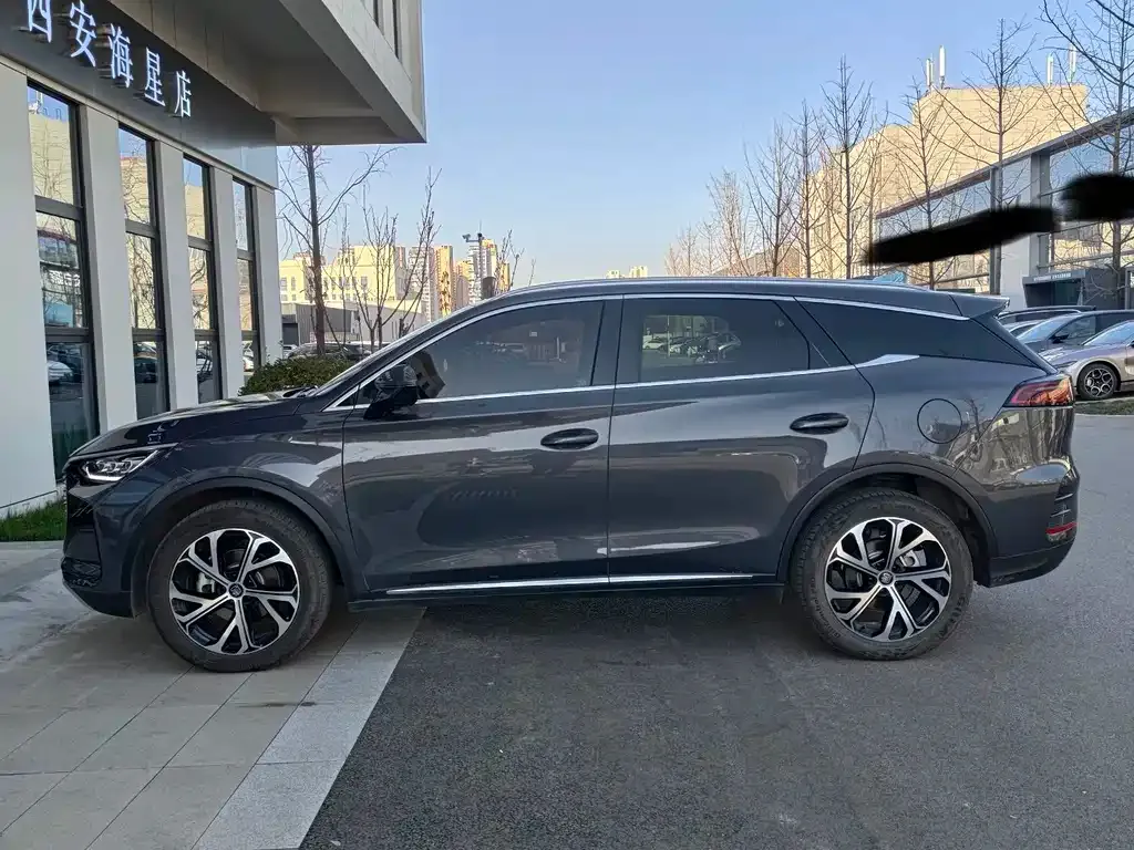BYD Tang New Energy 2024 из CN, фото 3