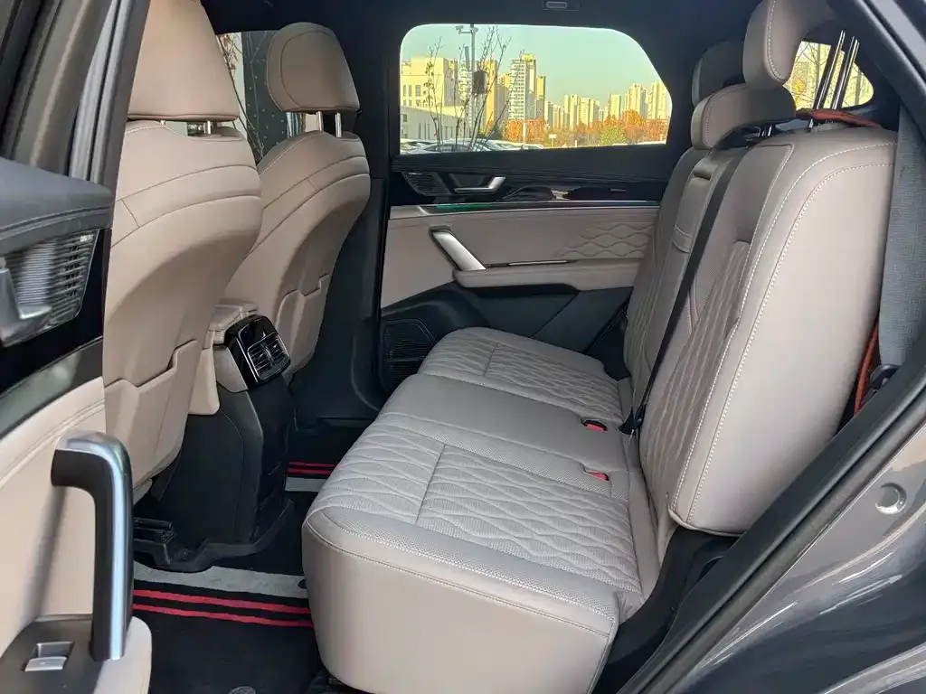 BYD Tang New Energy 2024 из CN, фото 6