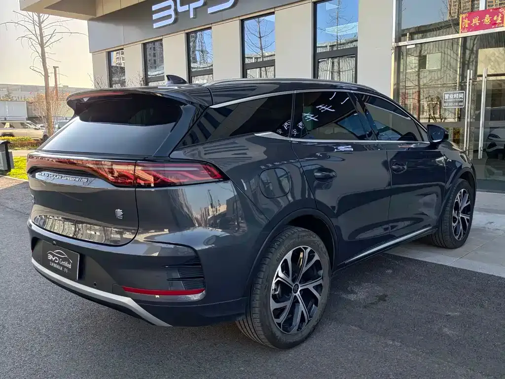 BYD Tang New Energy 2024 из CN, фото 9