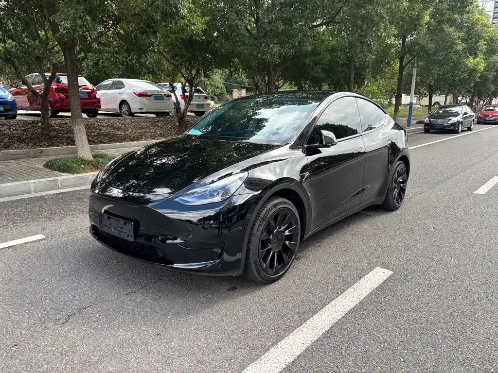 Tesla Model Y 2023 из CN, фото 1