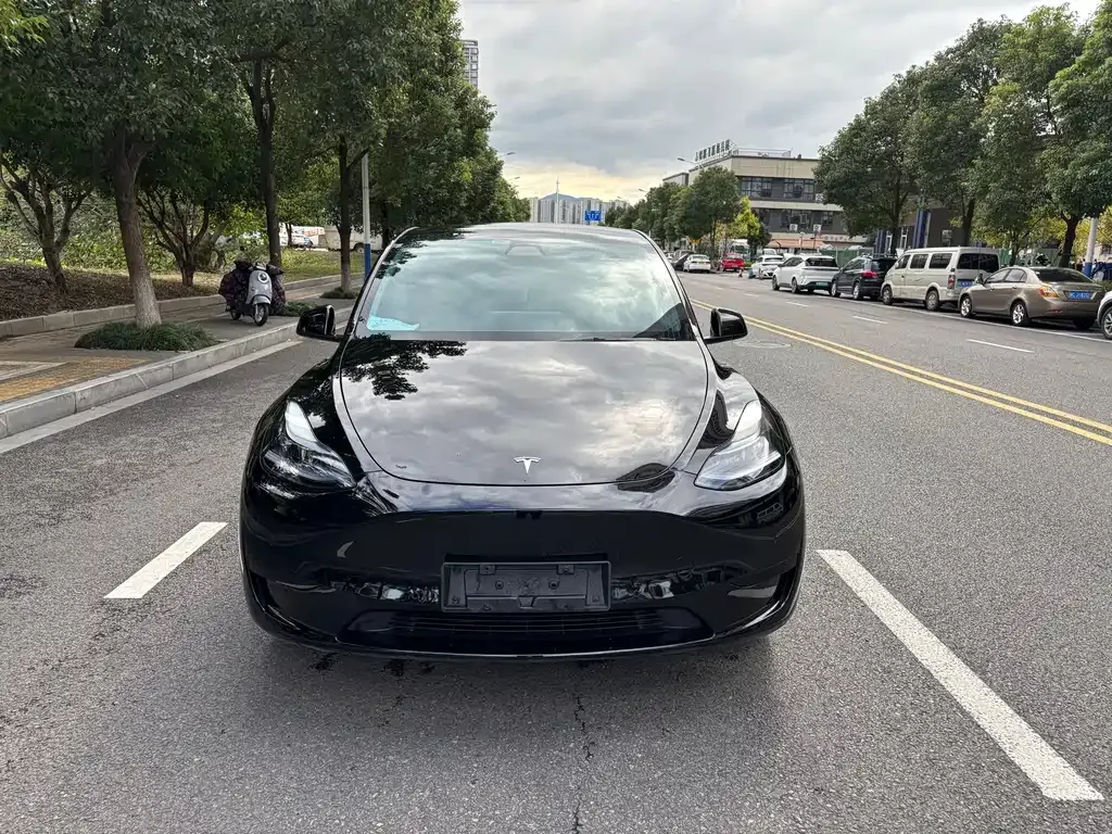Tesla Model Y 2023 из CN, фото 2