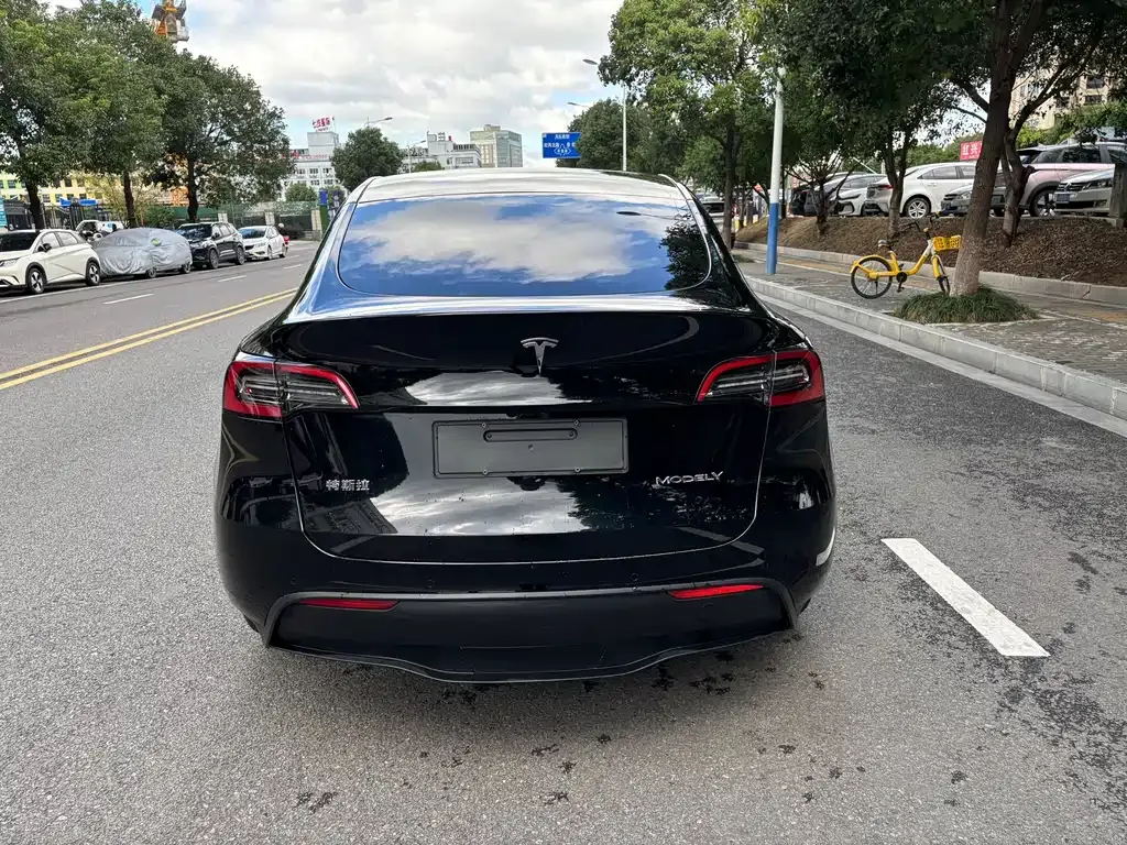 Tesla Model Y 2023 из CN, фото 9