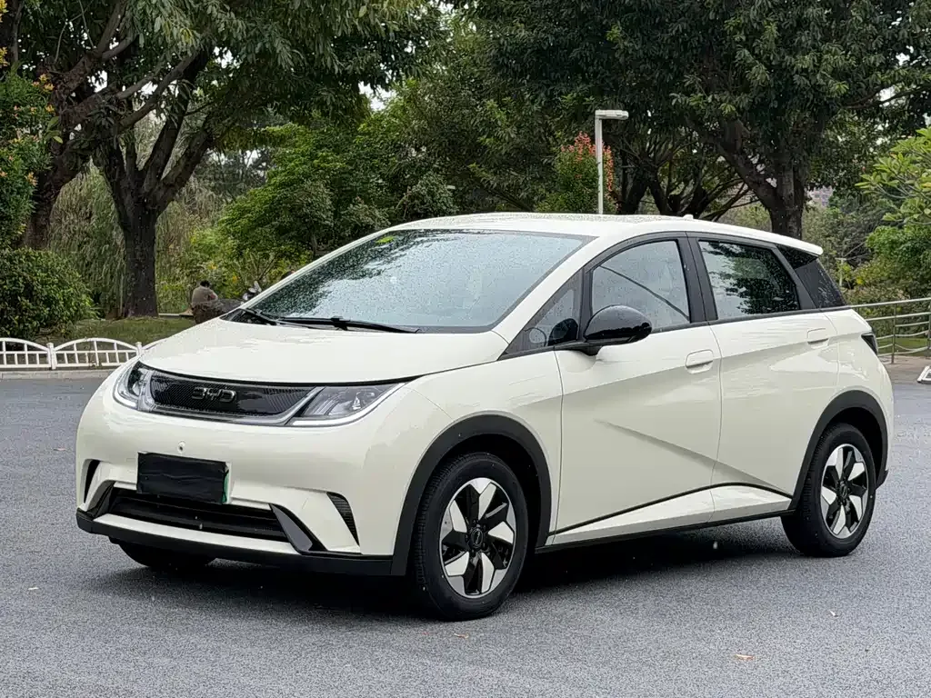 BYD Dolphin 2025 из CN, фото 1