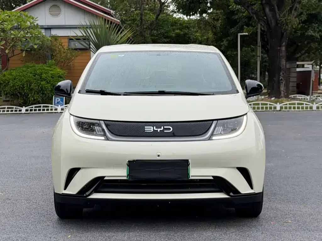 BYD Dolphin 2025 из CN, фото 2