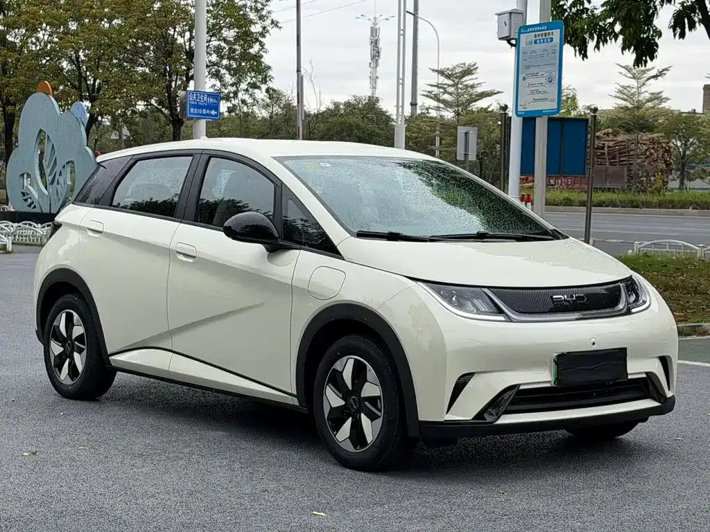 BYD Dolphin 2025 из CN, фото 3