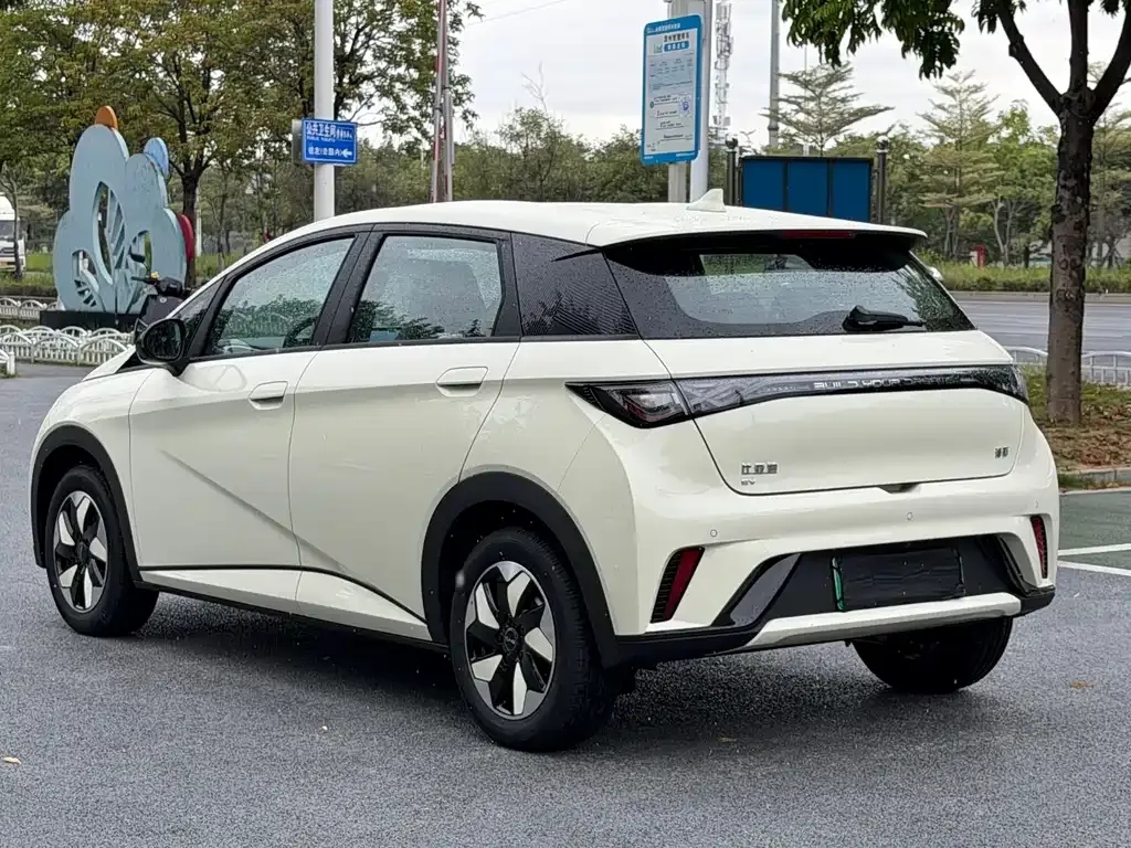 BYD Dolphin 2025 из CN, фото 7
