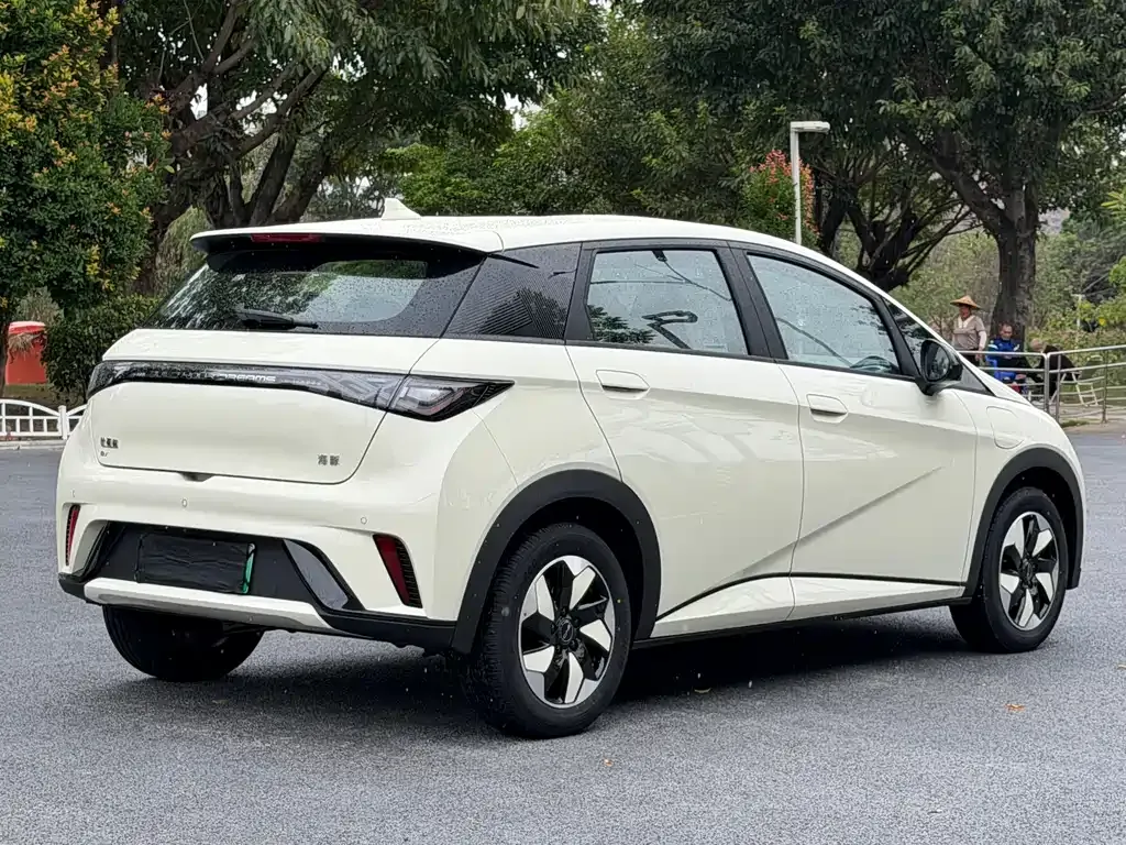 BYD Dolphin 2025 из CN, фото 9