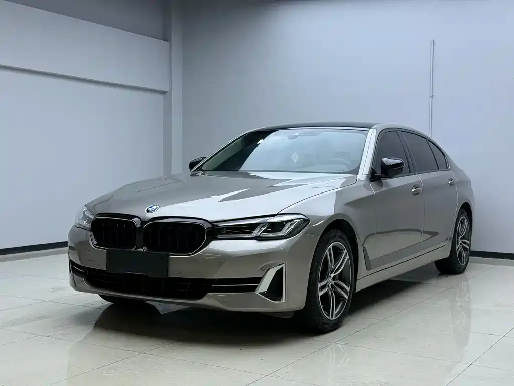 BMW 5 Series 2022 из CN, фото 1