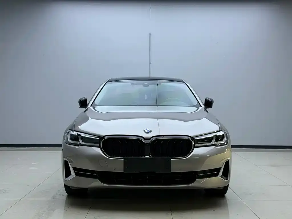 BMW 5 Series 2022 из CN, фото 2