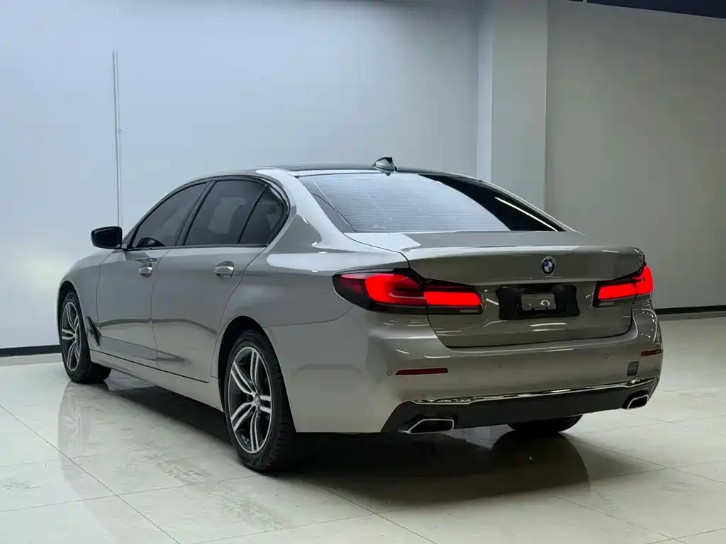 BMW 5 Series 2022 из CN, фото 4