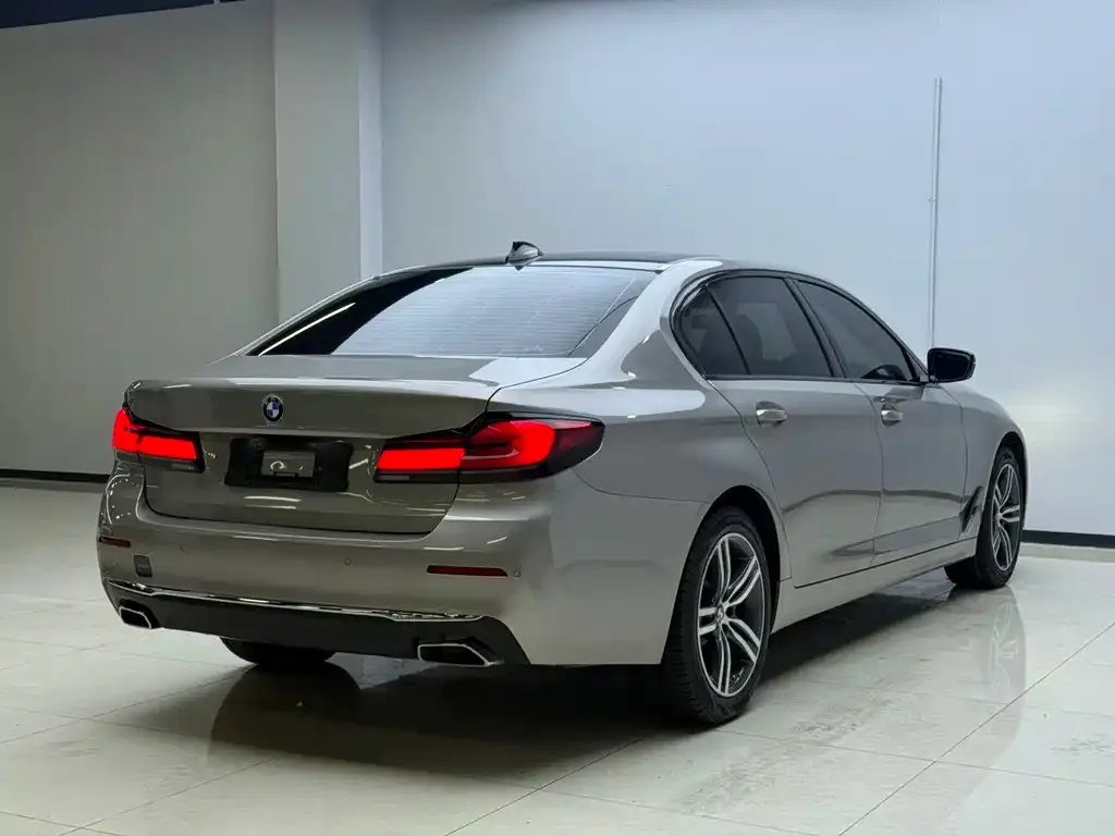 BMW 5 Series 2022 из CN, фото 5