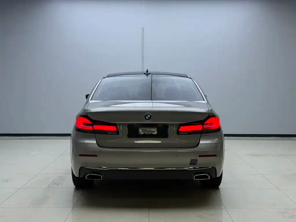 BMW 5 Series 2022 из CN, фото 6
