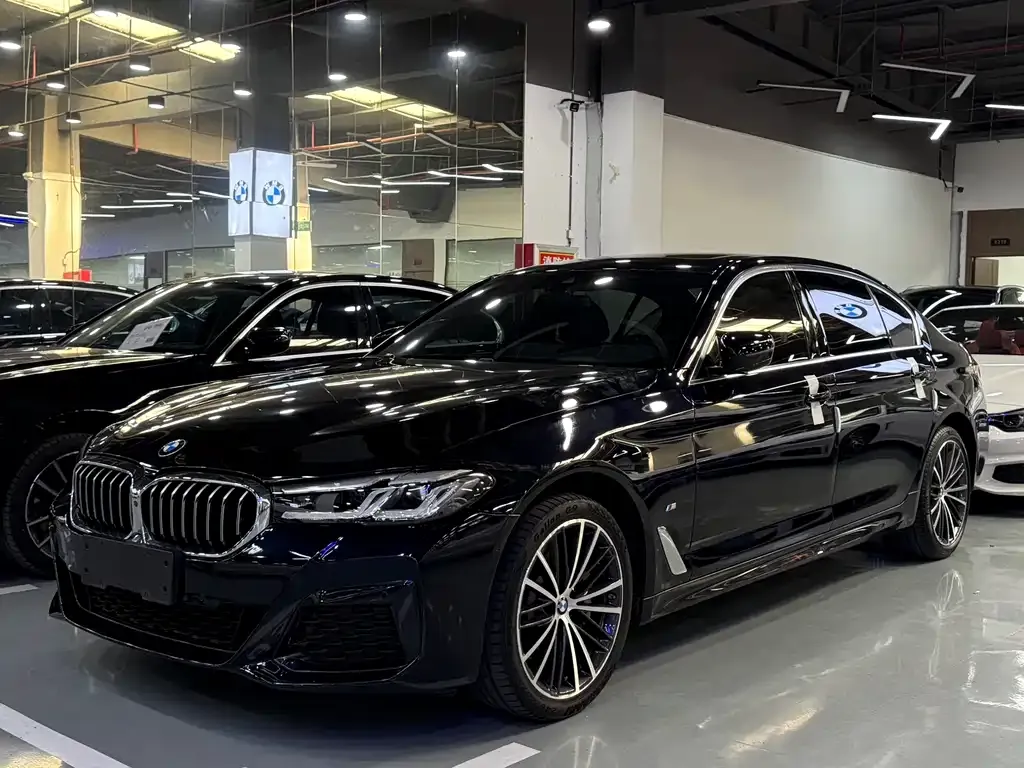 BMW 5 Series 2021 из CN, фото 1