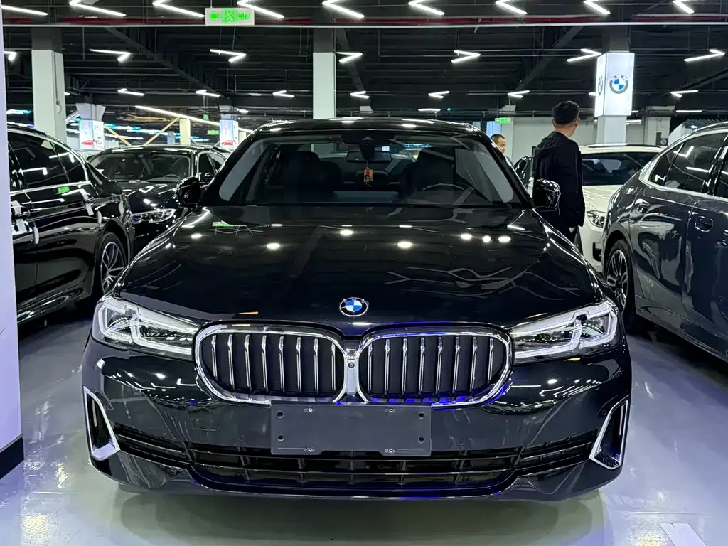 BMW 5 Series 2021 из CN, фото 2