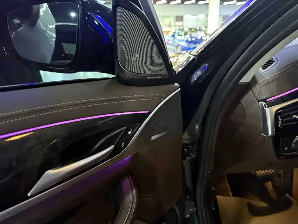 BMW 5 Series 2021 из CN, фото 7