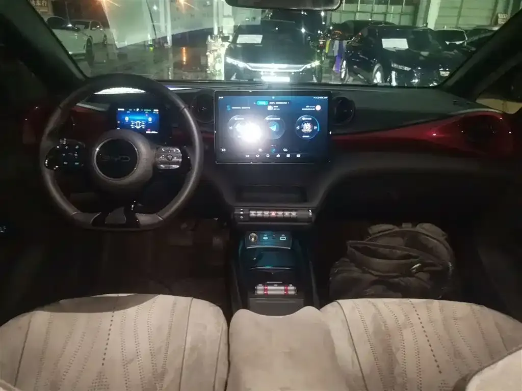 BYD Dolphin 2024 из CN, фото 10