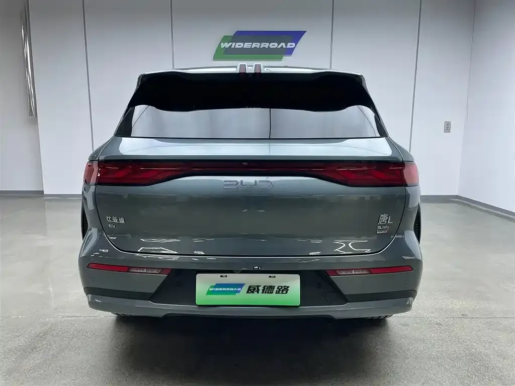 BYD Tang L 2025 из CN, фото 7