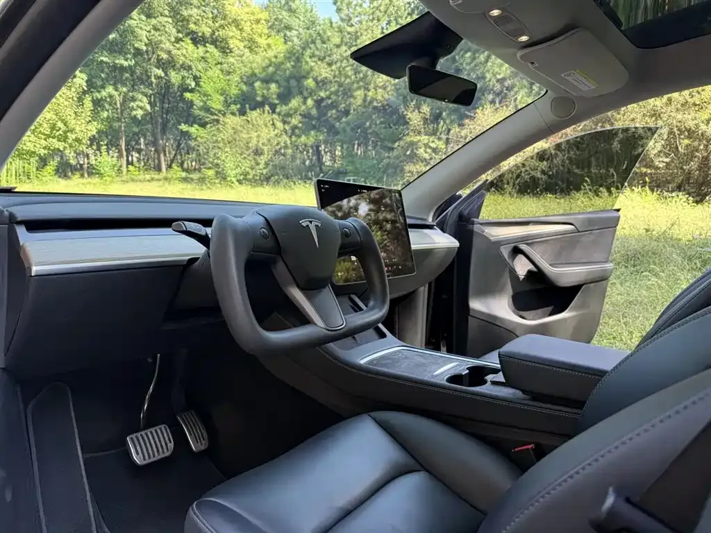 [object Object] Model Y 2023 из CN, фото 4