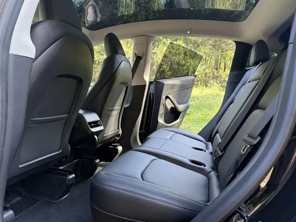 [object Object] Model Y 2023 из CN, фото 5