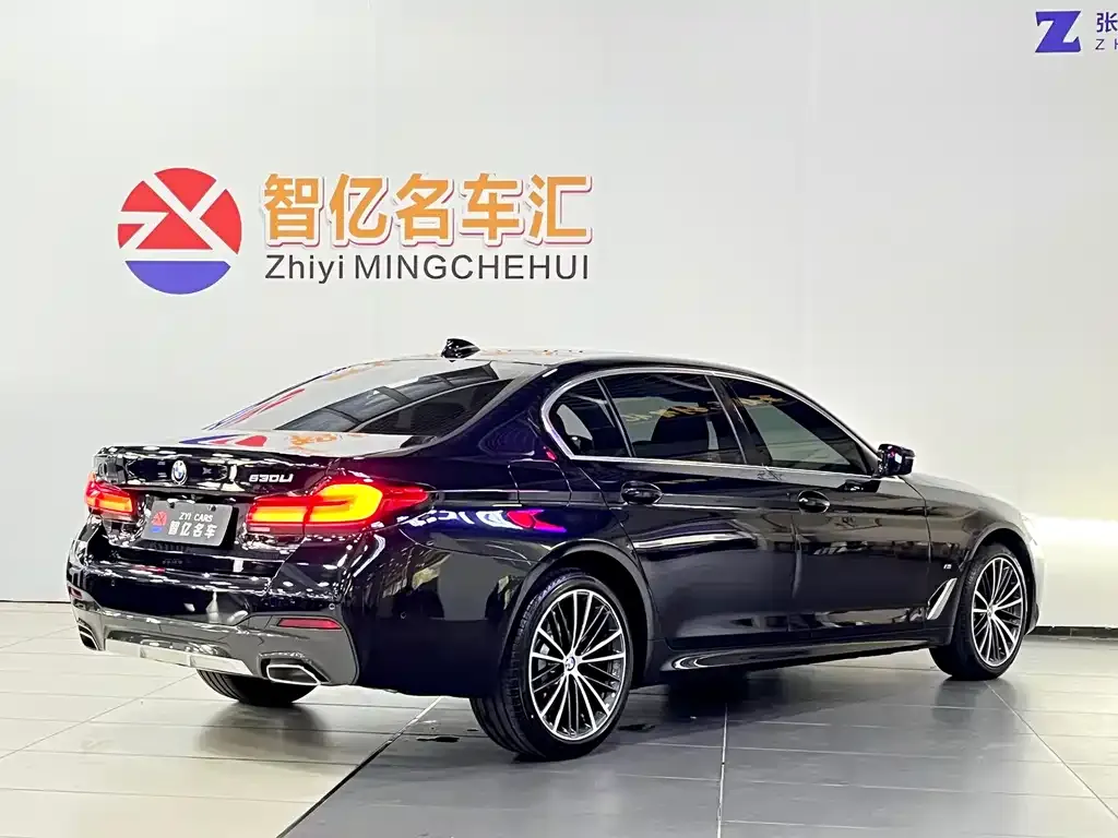 BMW 5 Series 2023 из CN, фото 5