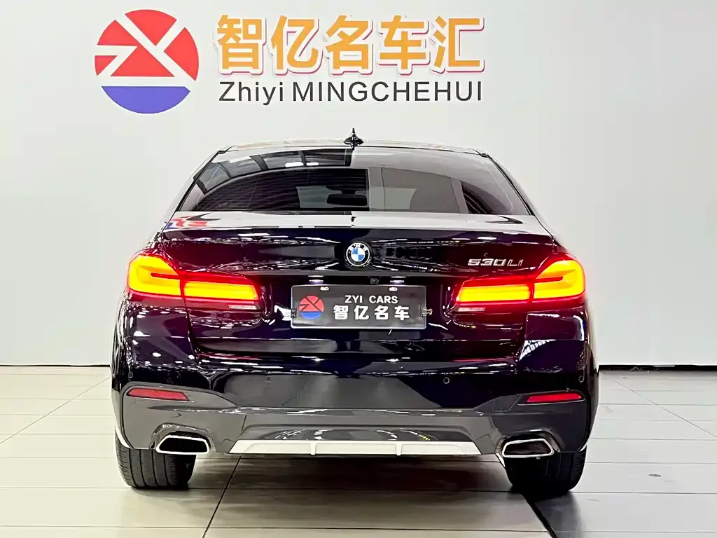 BMW 5 Series 2023 из CN, фото 6