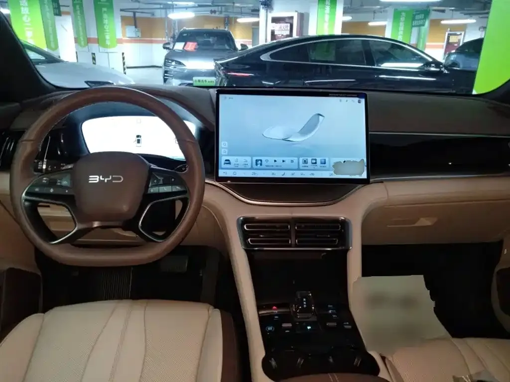 BYD PLUS New Energy — фото 10
