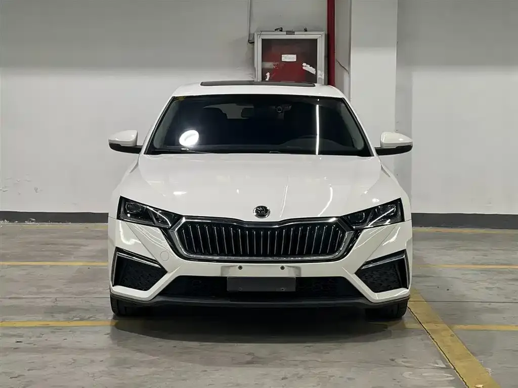 Skoda Octavia 2022 из CN, фото 2