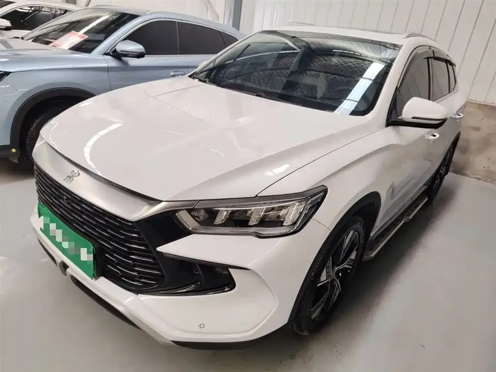 BYD Pro New Energy 2024 из CN, фото 1