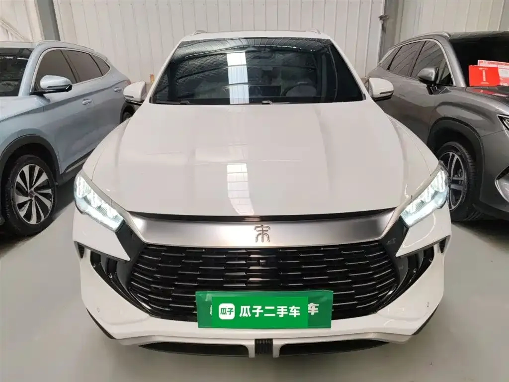 BYD Pro New Energy 2024 из CN, фото 3