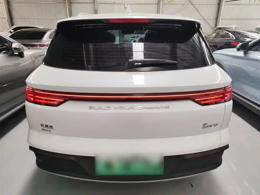 BYD Pro New Energy 2024 из CN, фото 6