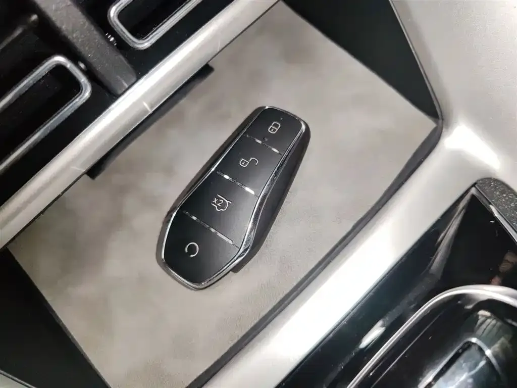 BYD Pro New Energy 2024 из CN, фото 9