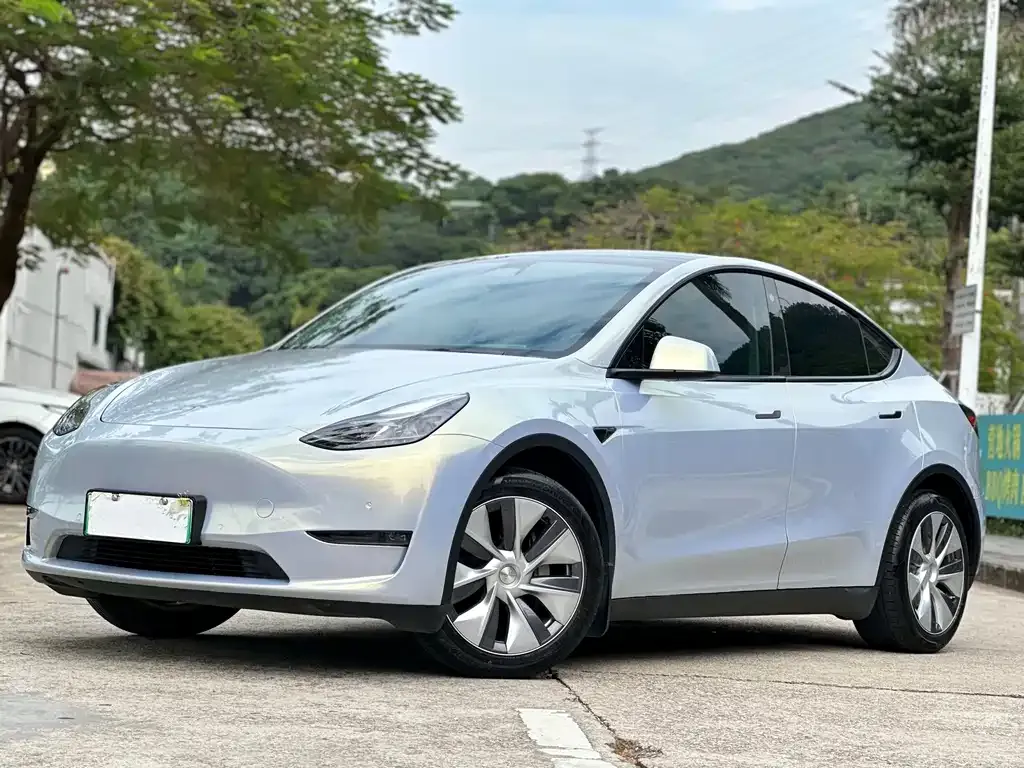 Tesla Model Y 2021 из CN, фото 1