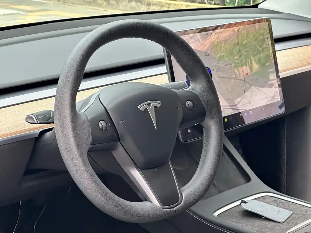 Tesla Model Y 2021 из CN, фото 10