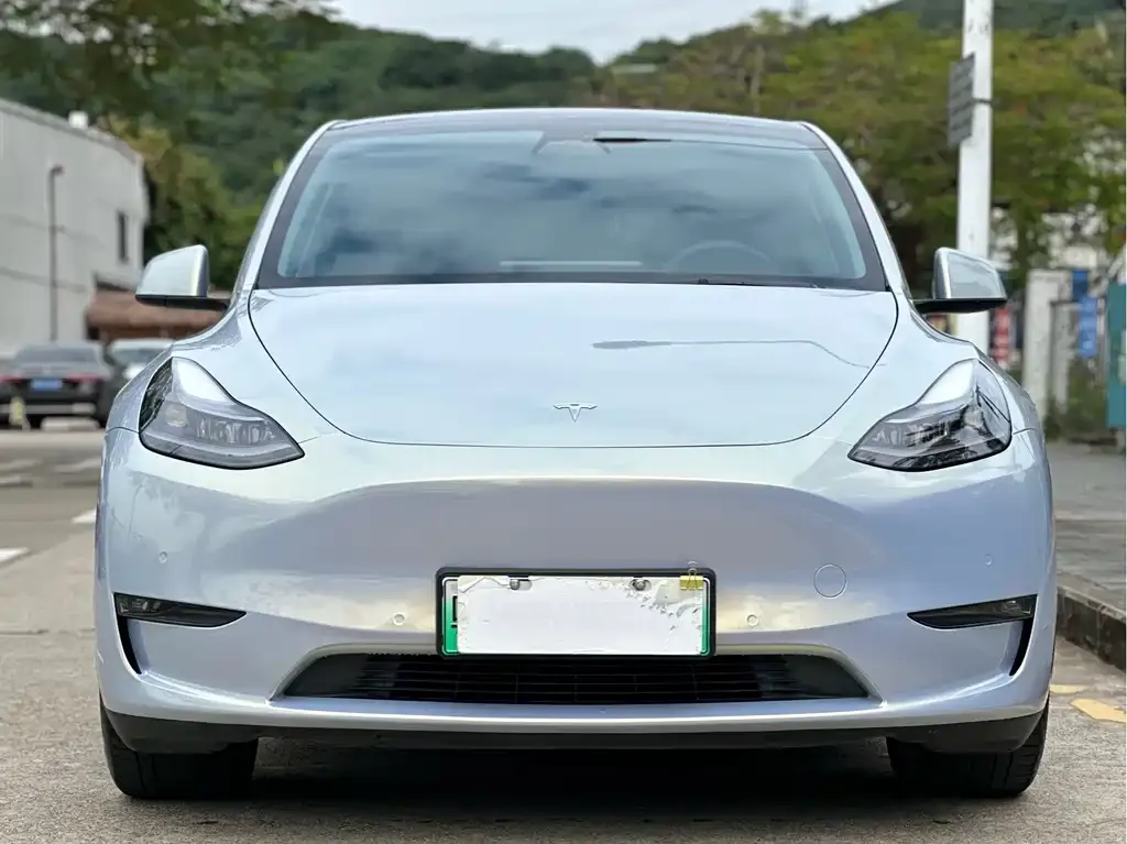 Tesla Model Y 2021 из CN, фото 2