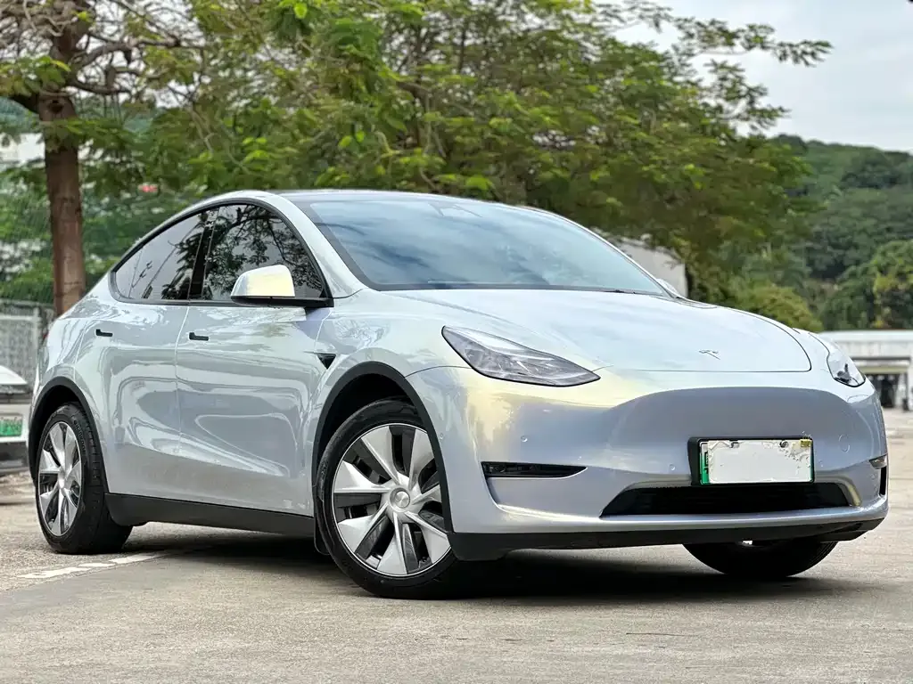 Tesla Model Y 2021 из CN, фото 3