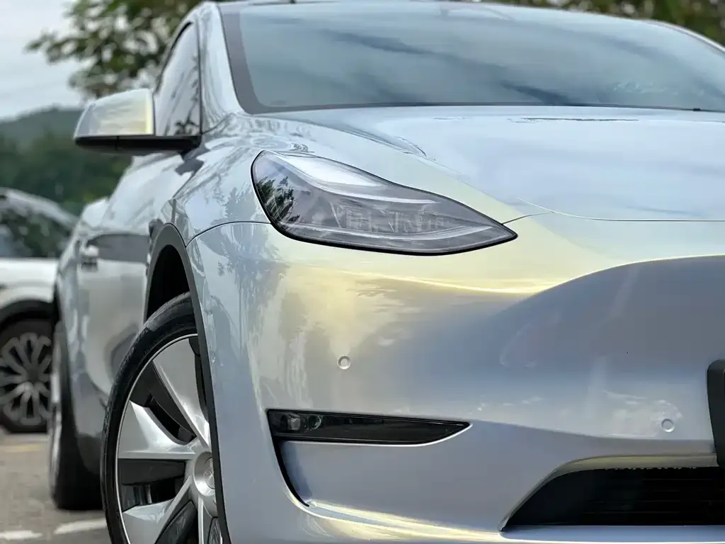 Tesla Model Y 2021 из CN, фото 4